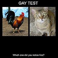 Click image for larger version. 

Name:	images.jpg 
Views:	1084 
Size:	7.9 KB 
ID:	10354