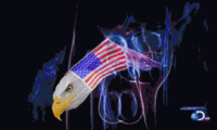 Click image for larger version. 

Name:	freedom.gif 
Views:	159 
Size:	981.8 KB 
ID:	12862