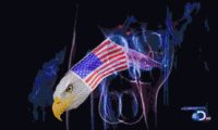 Click image for larger version. 

Name:	freedom.gif 
Views:	4841 
Size:	981.8 KB 
ID:	12862