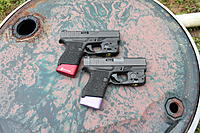 Click image for larger version. 

Name:	Bush3.jpg 
Views:	3653 
Size:	91.3 KB 
ID:	13731