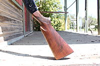 Click image for larger version. 

Name:	SheltWin10.jpg 
Views:	5062 
Size:	64.0 KB 
ID:	13744