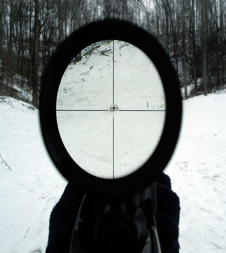 Name:  1146px-Edit_4x_rifle_scope.jpg
Views: 722
Size:  80.4 KB