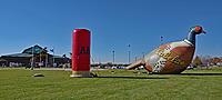 Click image for larger version. 

Name:	a- 005.jpg 
Views:	2584 
Size:	40.2 KB 
ID:	14701