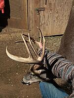 Click image for larger version. 

Name:	121820buckB.jpg 
Views:	1361 
Size:	63.6 KB 
ID:	17622