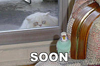 Click image for larger version. 

Name:	tumblr_lj57goZvBh1qdjdp1o1_500.jpg 
Views:	407 
Size:	37.6 KB 
ID:	6332