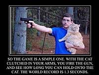 Click image for larger version. 

Name:	Cat game.jpg 
Views:	96 
Size:	67.8 KB 
ID:	16533